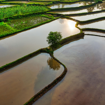 Footer Primary Without Banner