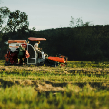 Footer Primary Without Banner