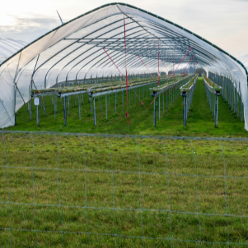 Footer Primary Without Banner