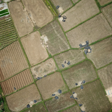 Footer Primary Without Banner