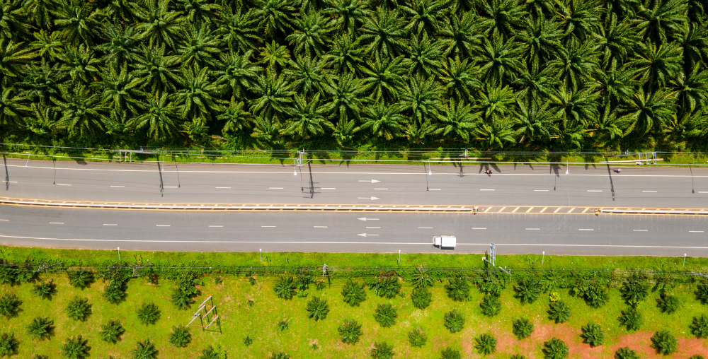 Organic farms avoid toxic inputs, improve soil health, grow clean, sustainable food that supports nature.