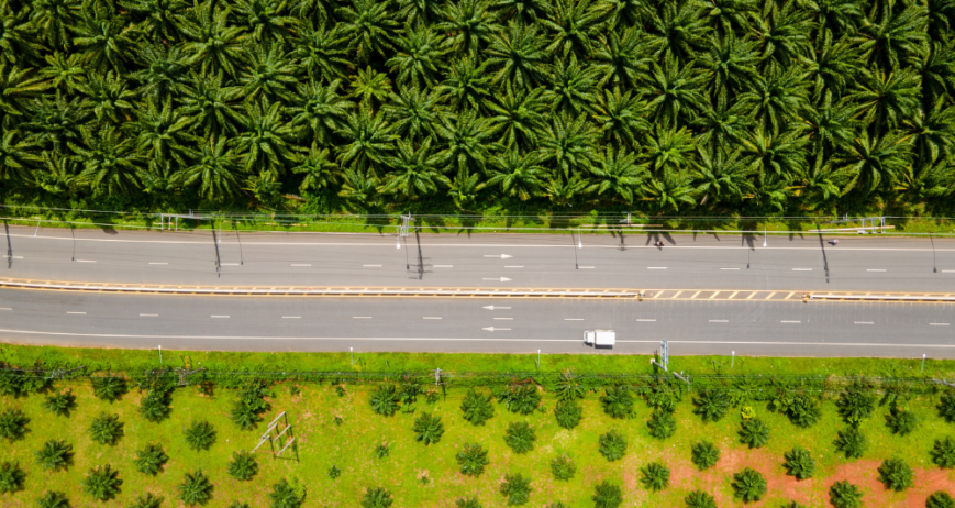 Organic farms avoid toxic inputs, improve soil health, grow clean, sustainable food that supports nature.