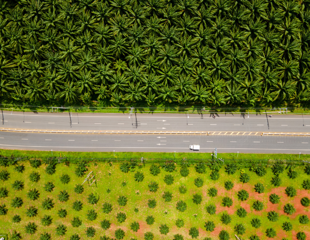 Organic farms avoid toxic inputs, improve soil health, grow clean, sustainable food that supports nature.