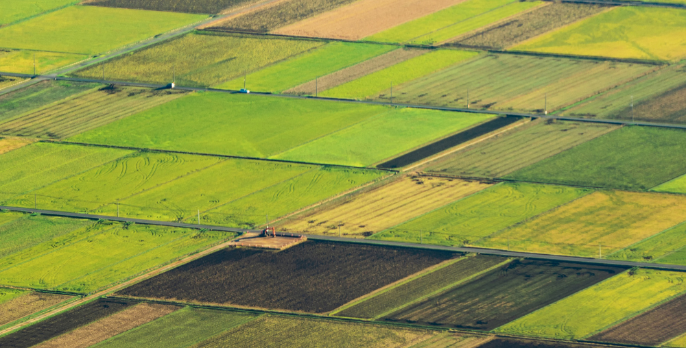 Organic farms avoid toxic inputs, improve soil health, grow clean, sustainable food that supports nature.
