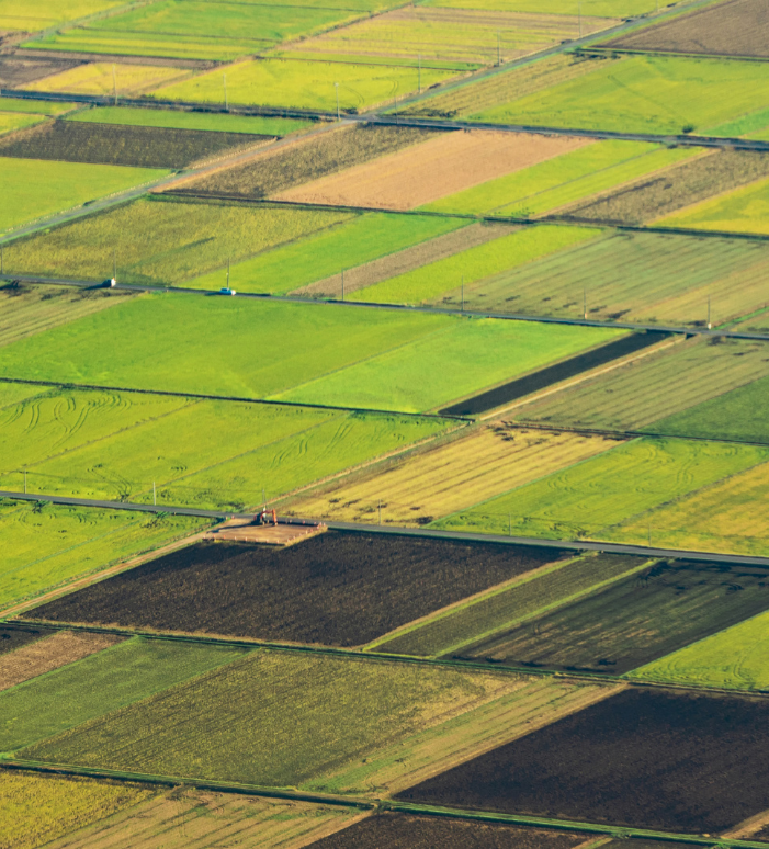 Organic farms avoid toxic inputs, improve soil health, grow clean, sustainable food that supports nature.