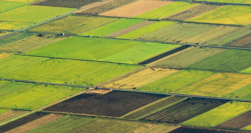 Organic farms avoid toxic inputs, improve soil health, grow clean, sustainable food that supports nature.