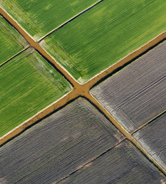 Organic farms avoid toxic inputs, improve soil health, grow clean, sustainable food that supports nature.