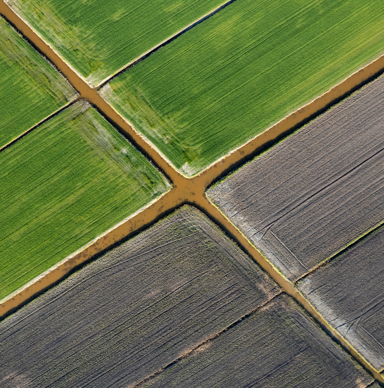 Organic farms avoid toxic inputs, improve soil health, grow clean, sustainable food that supports nature.