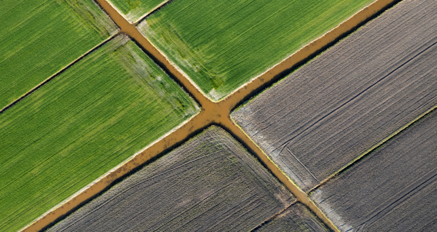 Organic farms avoid toxic inputs, improve soil health, grow clean, sustainable food that supports nature.