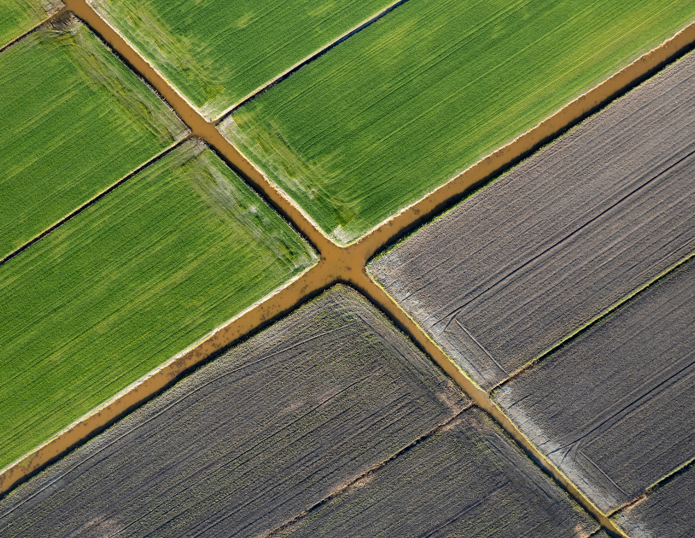 Organic farms avoid toxic inputs, improve soil health, grow clean, sustainable food that supports nature.