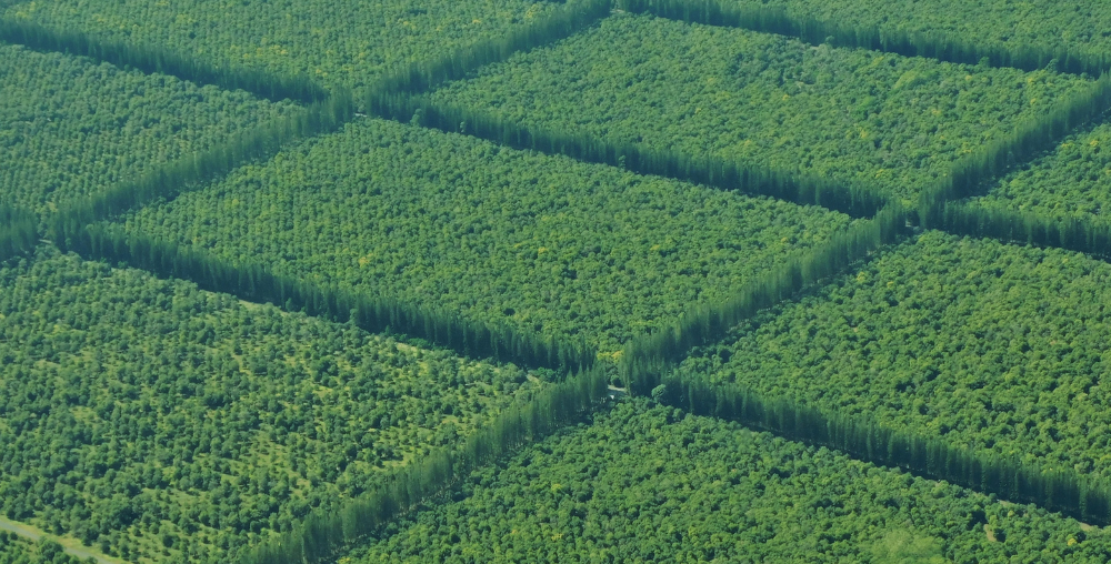 Organic farms avoid toxic inputs, improve soil health, grow clean, sustainable food that supports nature.