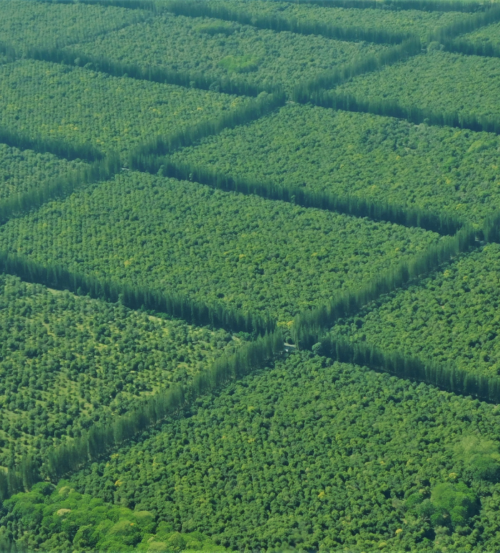 Organic farms avoid toxic inputs, improve soil health, grow clean, sustainable food that supports nature.