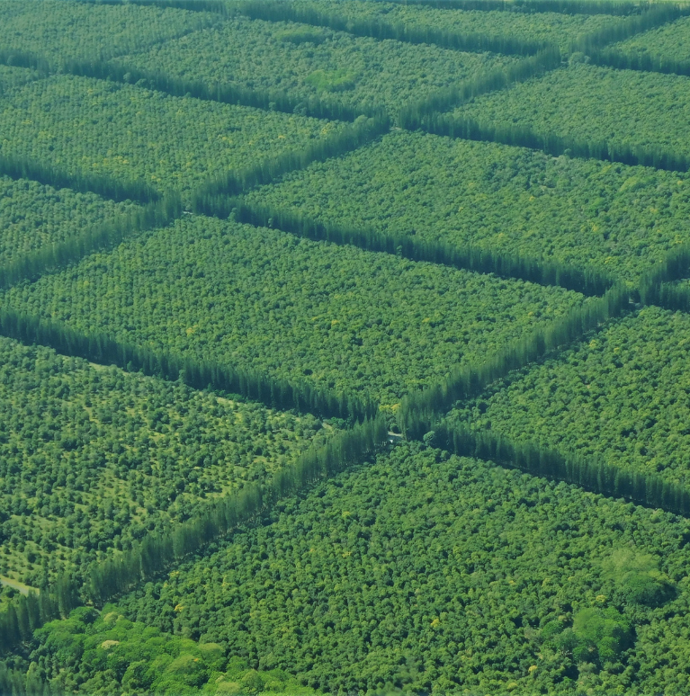 Organic farms avoid toxic inputs, improve soil health, grow clean, sustainable food that supports nature.