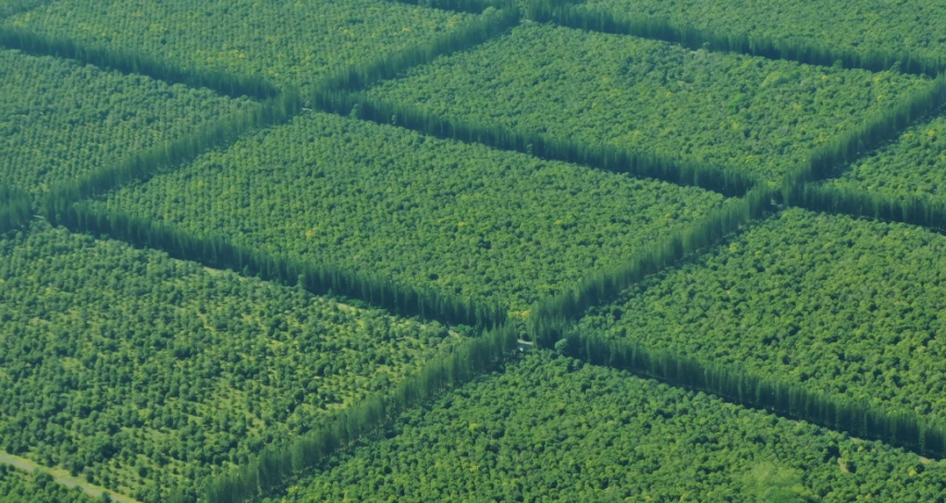 Organic farms avoid toxic inputs, improve soil health, grow clean, sustainable food that supports nature.