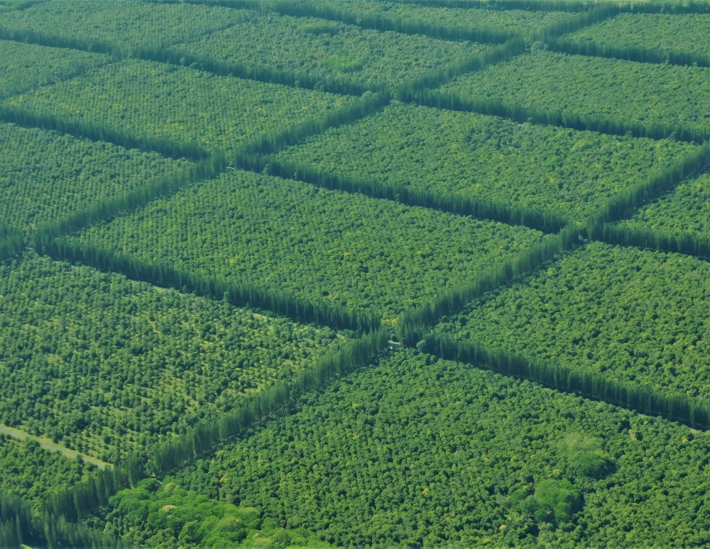 Organic farms avoid toxic inputs, improve soil health, grow clean, sustainable food that supports nature.