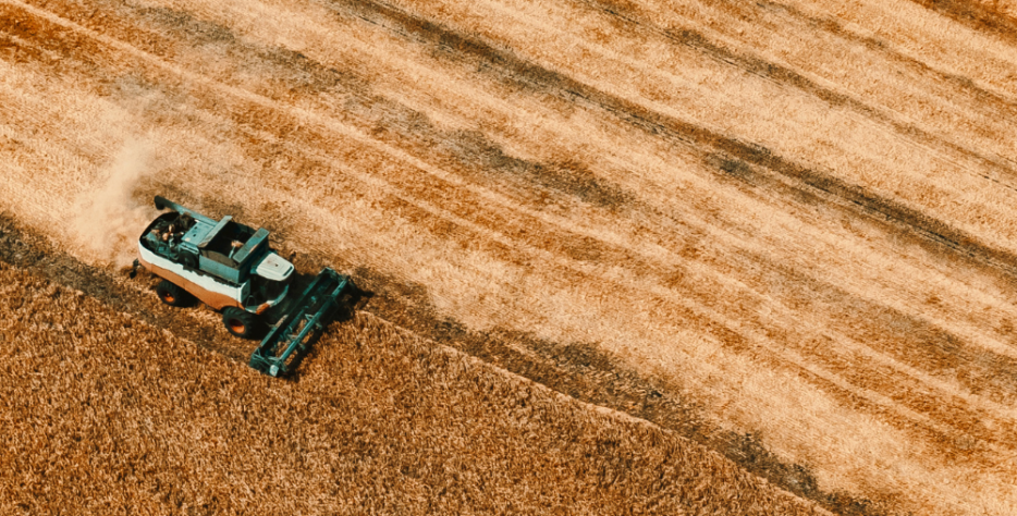 We identify high-potential farming lots across strategic locations and structure them into well-defined cluster projects for long-term value and sustainability.
