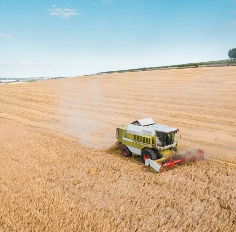 We identify high-potential farming lots across strategic locations and structure them into well-defined cluster projects for long-term value and sustainability.