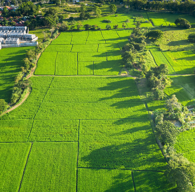 The project follows a structured holding period with defined timelines, after which the farming lot transitions as per the agreed project framework.